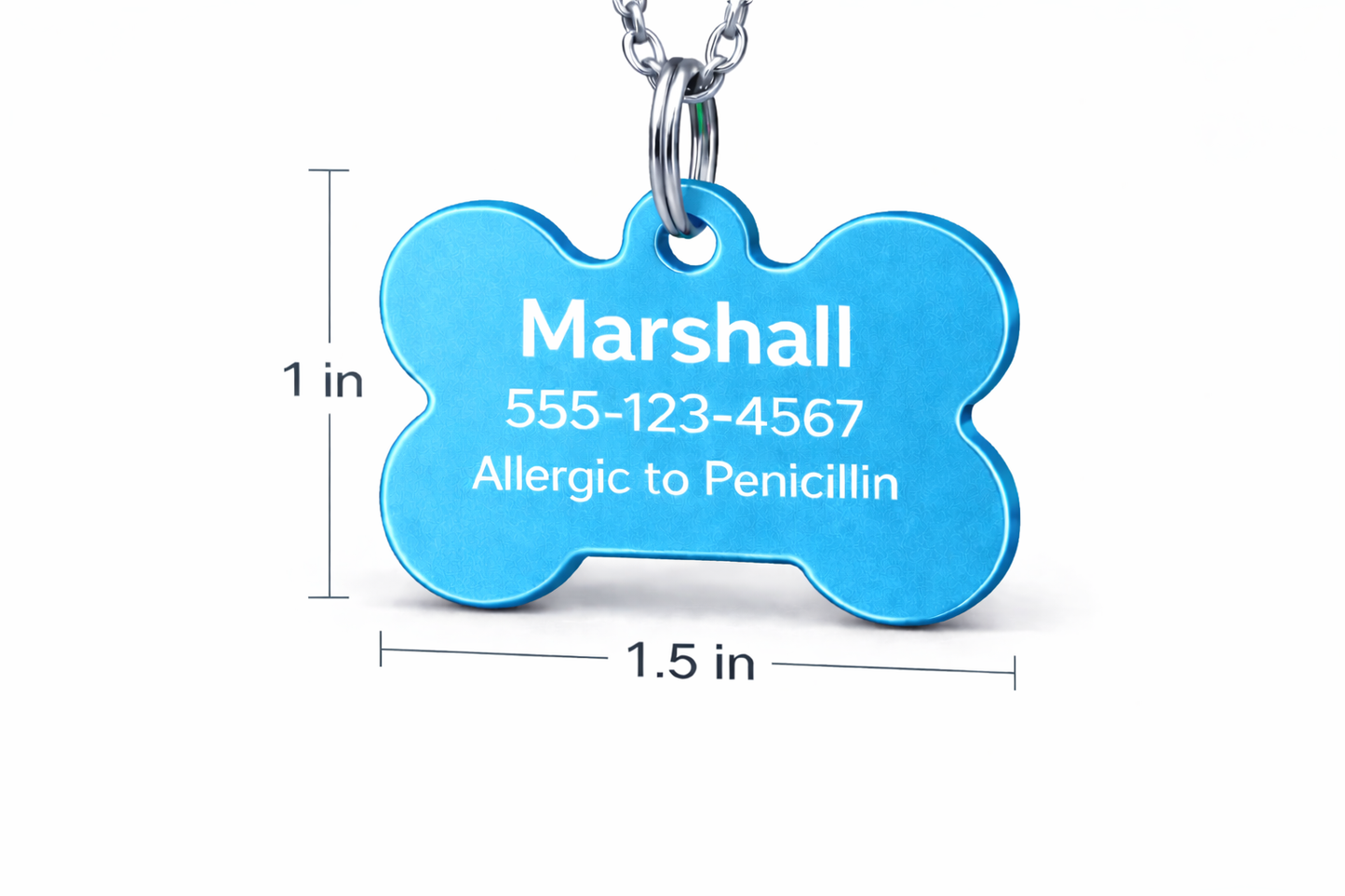 Blue bone-shaped pet tag with engraved information on a white background