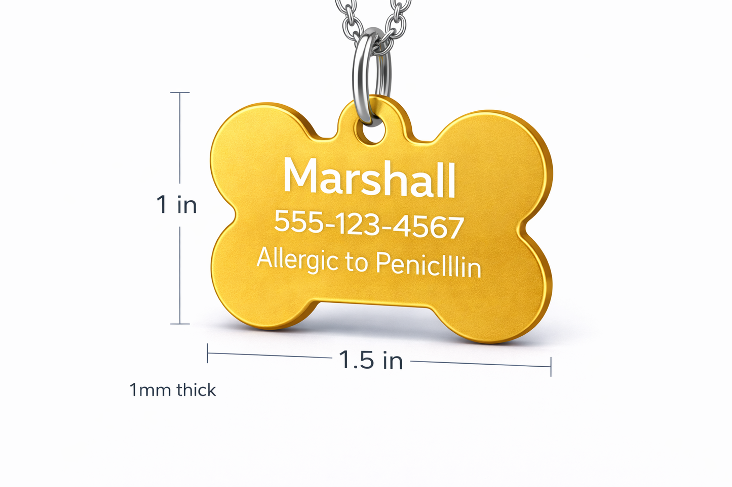Gold bone-shaped pet tag with engraved information on a white background