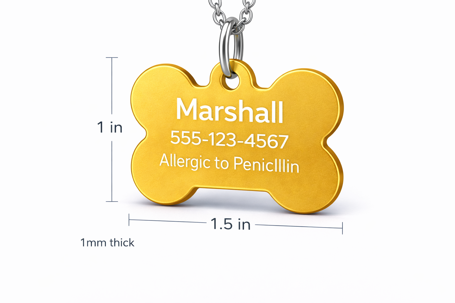 Gold bone-shaped pet tag with engraved information on a white background