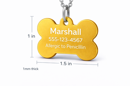 Gold bone-shaped pet tag with engraved information on a white background
