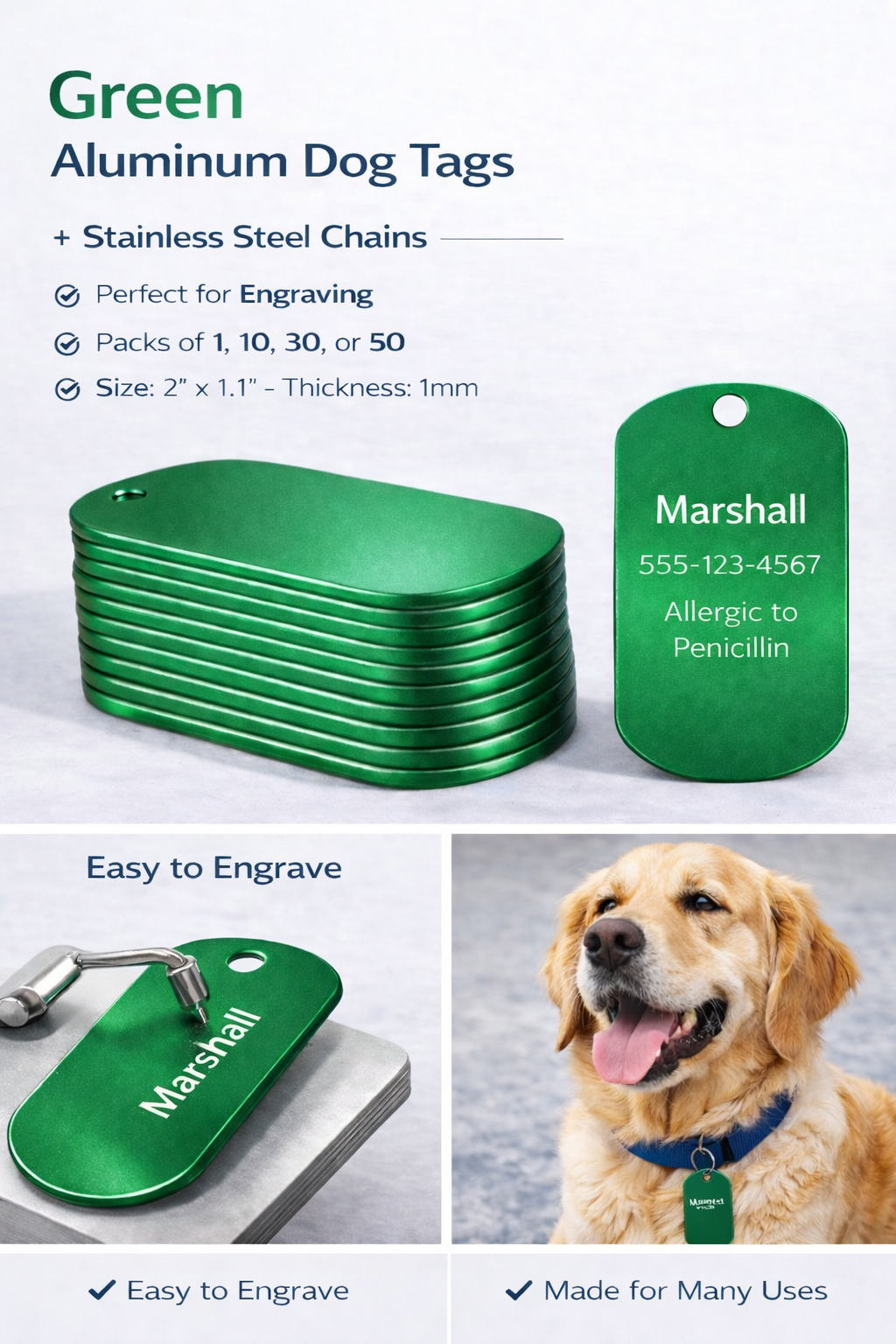 Green aluminum dog tags with engraved text, stainless steel chains, and a dog wearing one on a white background.