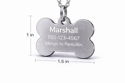 Stainless steel dog tag with engraved text on a white background