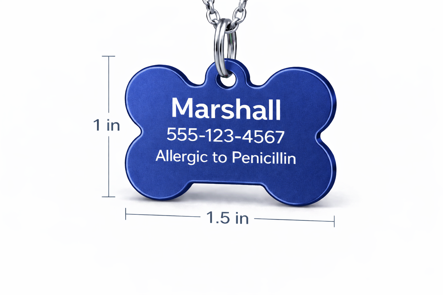 Blue bone-shaped pet tag with engraved text on a white background